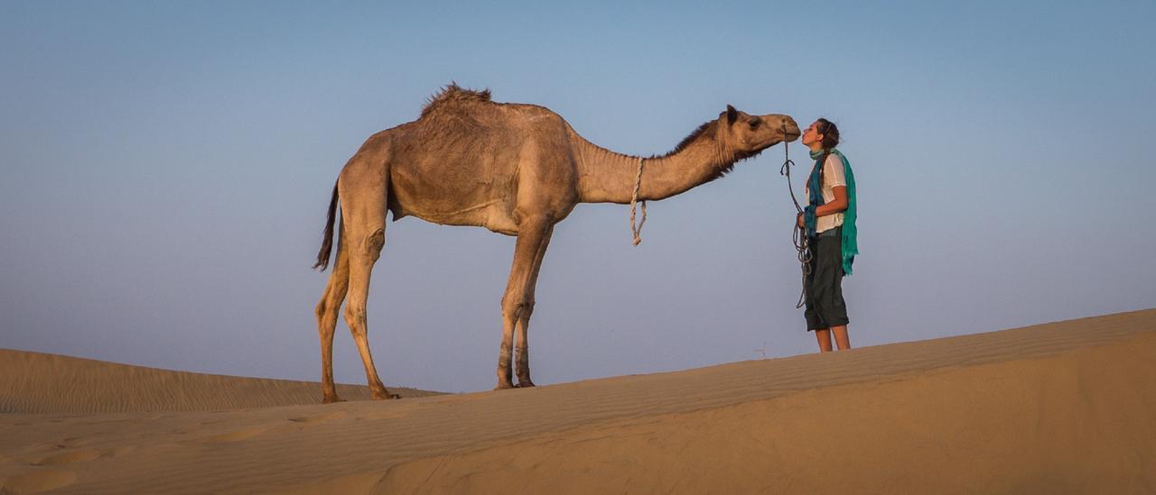 Tripli Hotels Prithvi Palace Jaisalmer Eksteriør bilde